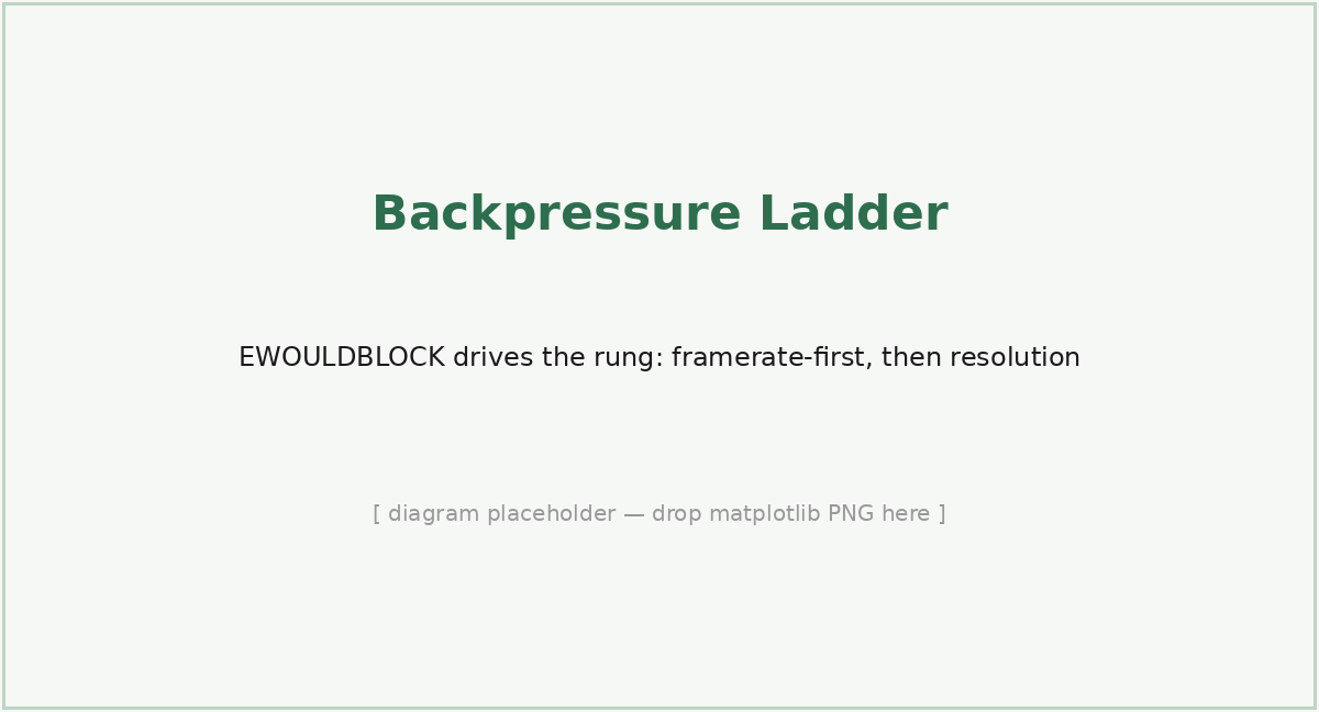 The ladder and the bearer